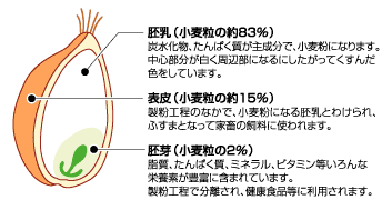 麦屋のうどん