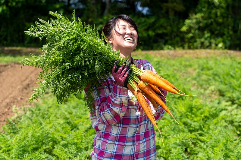 無農薬栽培のにんじん写真