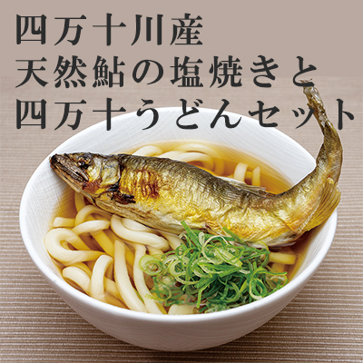 鮎の塩焼きと四万十うどんセット