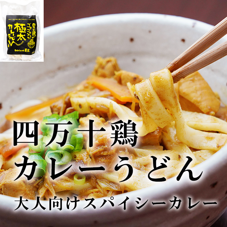 四万十鶏カレーうどん