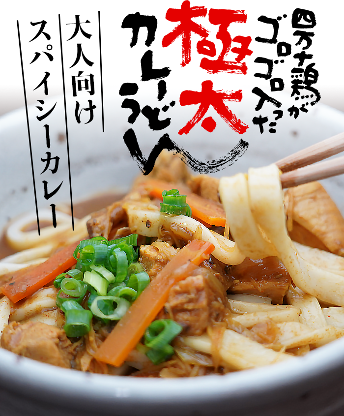 麦屋の四万十鶏カレーうどん 大人のスパイシーカレー