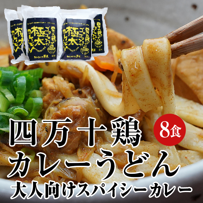 四万十鶏カレーうどん