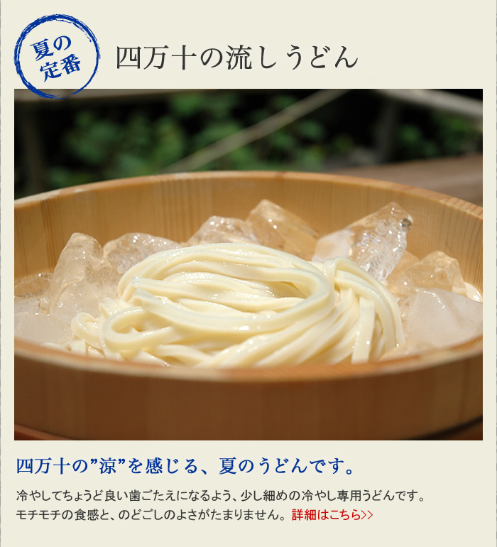 四万十の流しうどん