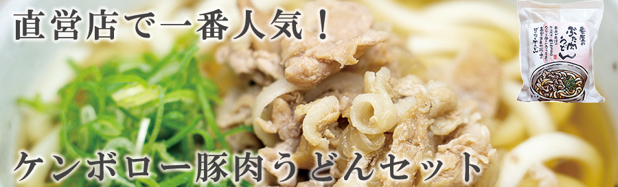 けんボロー豚肉うどん