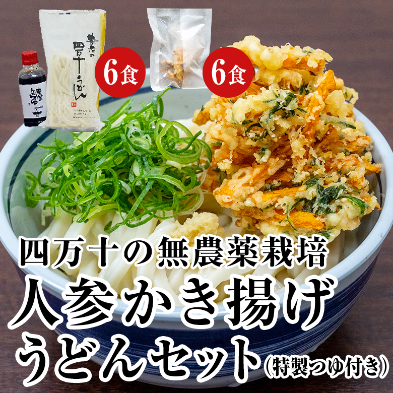 四万十うどん麦屋の無農薬にんじんかき揚げ天セット