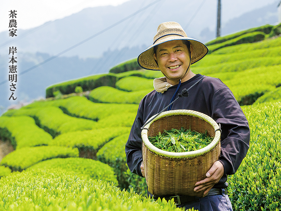 沢渡茶