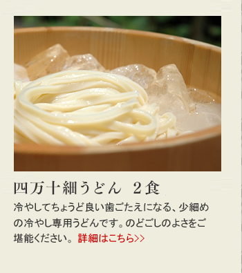 四万十川細うどん