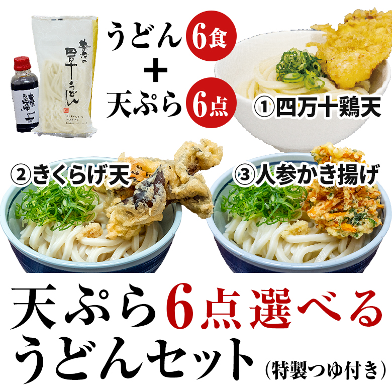 好きな天ぷらを6点選べる四万十うどんセット