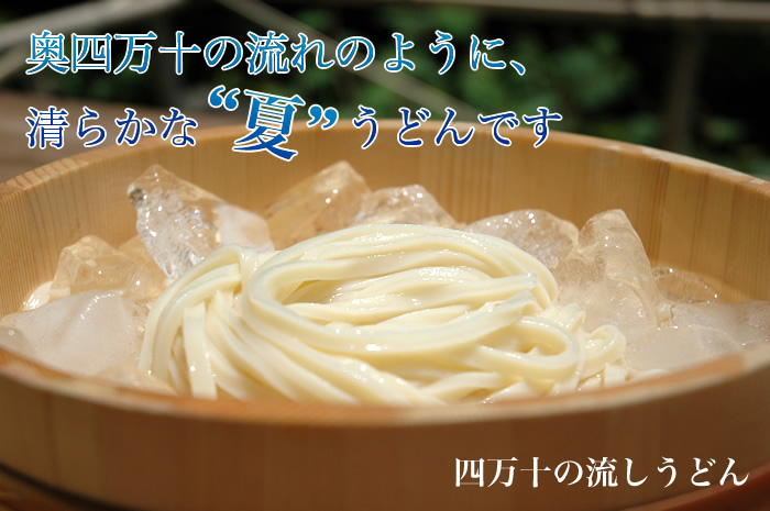 四万十川スッキリ細うどん